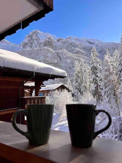 Peacefull Mountains View Apartment Kandersteg Exterior foto